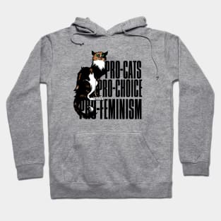 Pro-cats pro-choice pro-feminism Hoodie